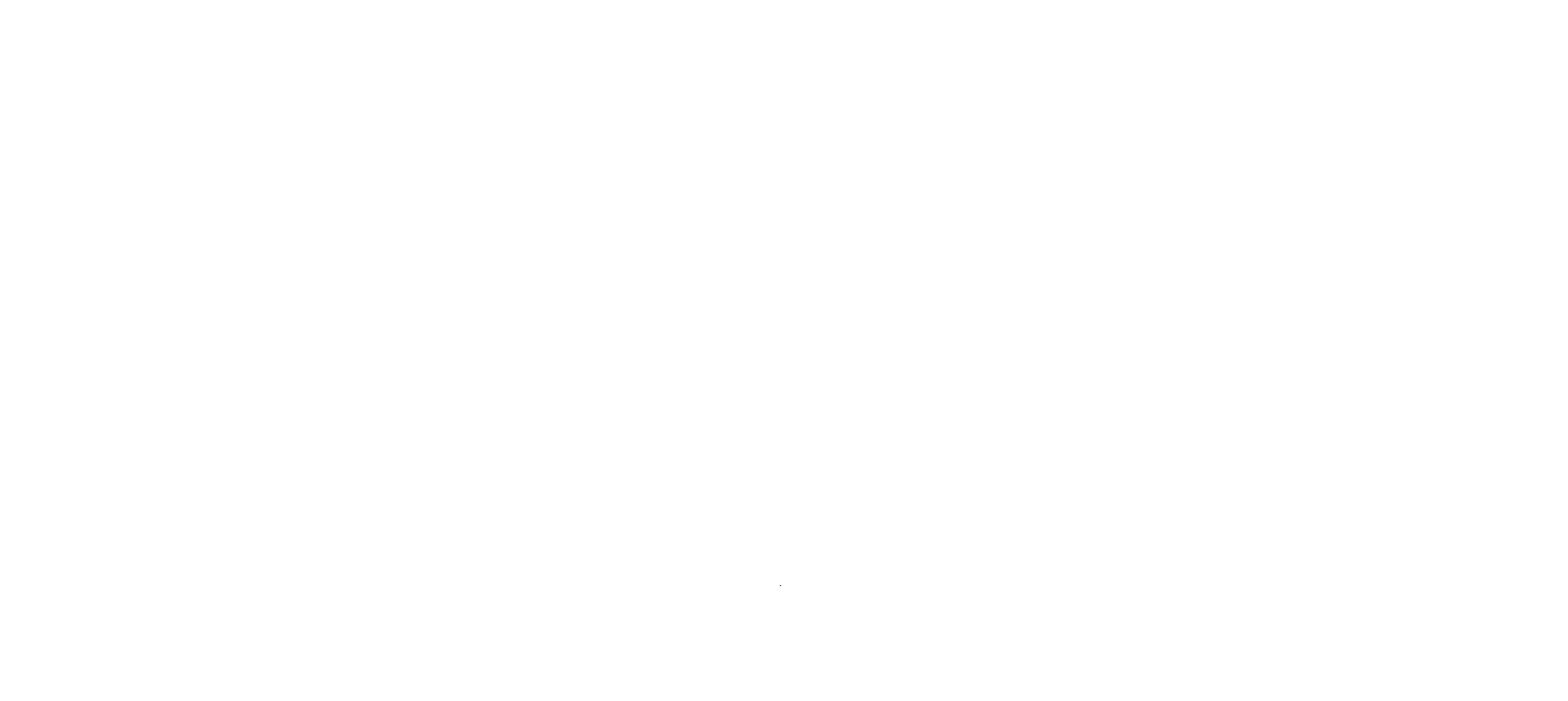 Conix Logo